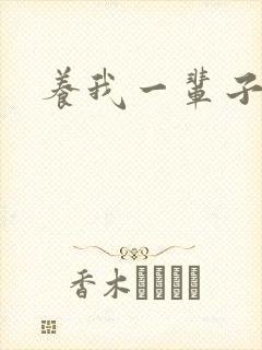 养我一辈子封面