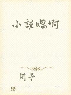 小说嗯啊