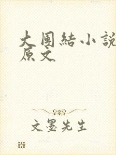 大团结小说阅读原文封面