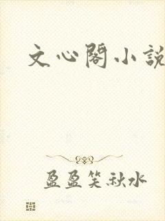 文心阁小说
