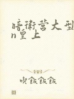 暗卫营大型hpn皇上封面