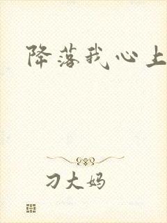 降落我心上