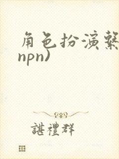 角色扮演系统(npn)封面