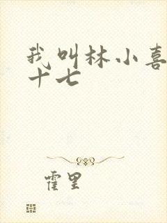 我叫林小喜今年十七