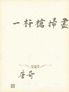 一杆枪扫尽全家封面