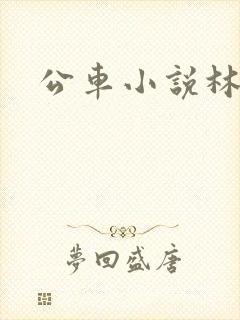 公车小说林蔓蔓