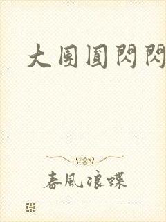 大团圆闪闪发光