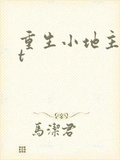 重生小地主txt