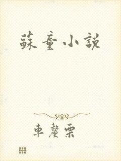 苏童小说
