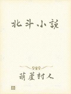 北斗小说封面