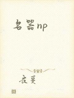 名器np
