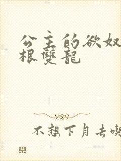 公主的欲奴h四根双龙