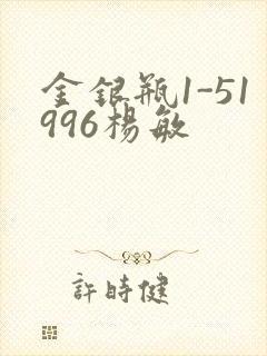 金银瓶1-51996杨敏封面