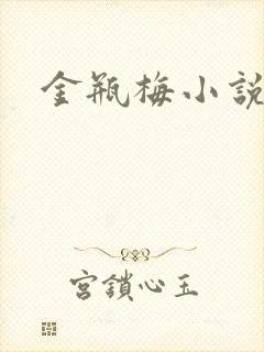 金瓶梅小说下载
