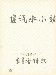 盐汽水小说