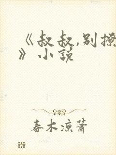 《叔叔,别撩我》小说