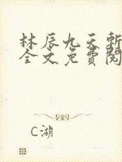 林辰九天斩神诀全文免费阅读笔趣阁