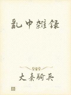 乱中杂录封面