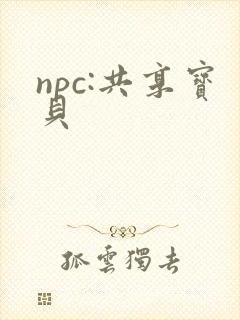 npc:共享宝贝封面