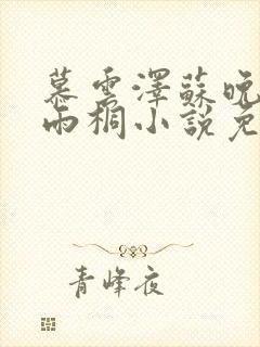 慕云泽苏晚晴夏雨桐小说免费阅读封面