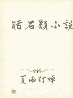 赌石类小说