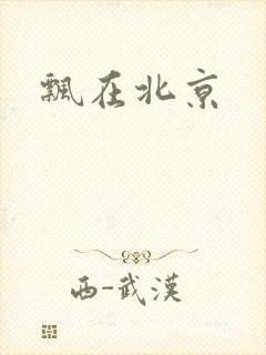 飘在北京
