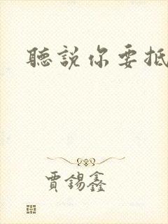 听说你要抵抗我封面