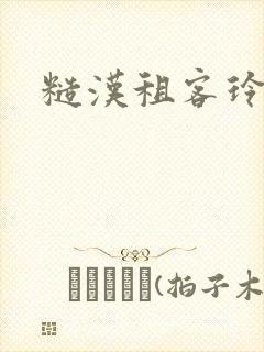 糙汉租客玲珑塔