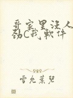 哥家里没人使点劲C我软件