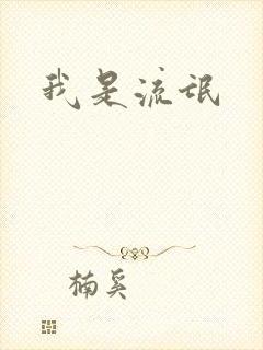 我是流氓封面