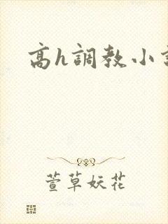 高h调教小说封面