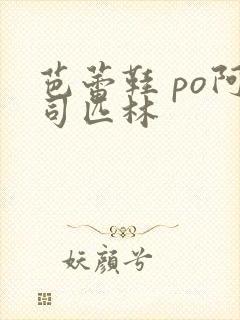 芭蕾鞋 po阿司匹林封面