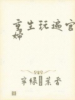 重生玩遍官场贵妇