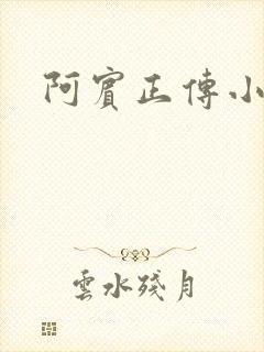 阿宾正传小说