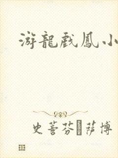 游龙戏凤小说