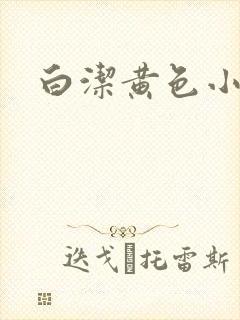 白洁黄色小说