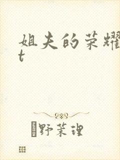姐夫的荣耀txt