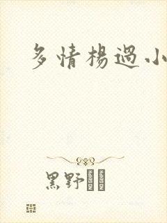 多情杨过小说封面