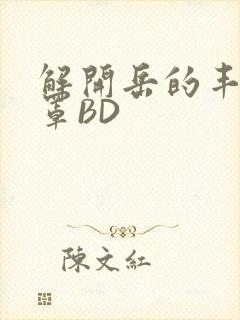 解开岳的丰满奶罩BD