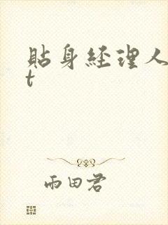 贴身经理人txt