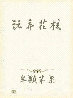 玩弄花核封面