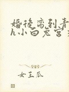 婚后脔到青梅哭h小白兔宫交h