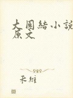 大团结小说阅读原文
