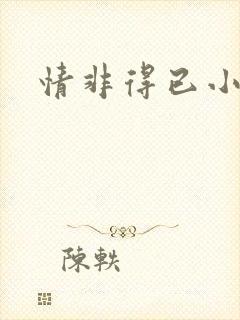 情非得已小说封面