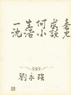 一生何求秦菲雪沈浩小说免费阅读全文封面