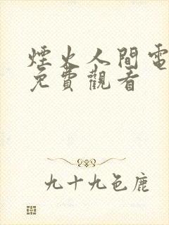 烟火人间电视剧免费观看