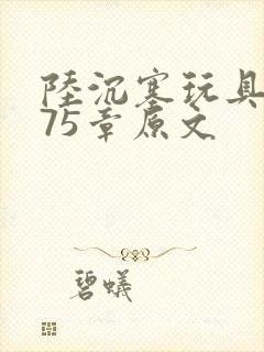 陆沉塞玩具高速75章原文