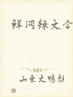 鲜网辣文合集