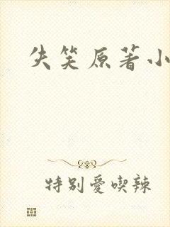 失笑原著小说封面
