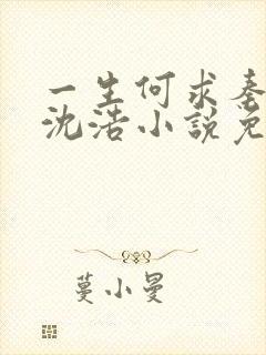 一生何求秦菲雪沈浩小说免费阅读全文封面